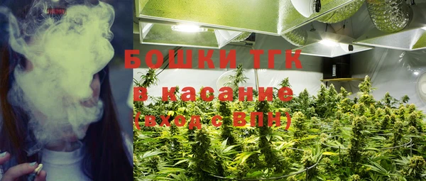 spice Тайга