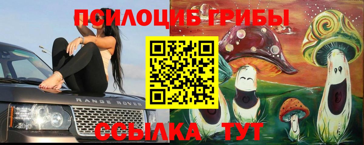 Галлюциногенные грибы прущие грибы Лангепас