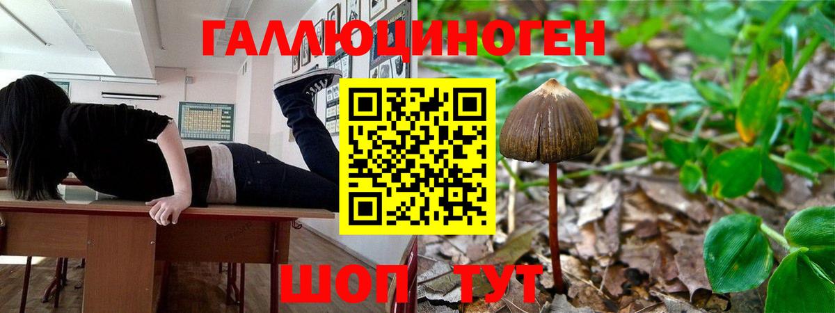 Лангепас  Псилоцибиновые грибы Psilocybine cubensis  Псилоцибиновые грибы GOLDEN TEACHER  закладка  Вход с VPN 